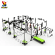  TUV Outdoor Multi Body Strength Exercise Training Sports Goods Street Workout Gym Station Machine Home Gym Monkey Bar Outdoor Multi Gym Fitness Equipment