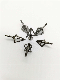 3 Fixed 100 Gn and 125 Gn Broadheads