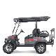  New Arrival 48V 5000W Electric Vehicle Dune Buggy Electric Golf Cart