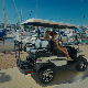 Lithium Golf Cart Golf Trolley Electric Cart Golf Buggy