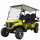  China High Quality Dachi Golf Cart Golf Buggy Forge H4+2 Factory Direct Sales