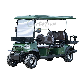  Factory Price 2+2 Seater Gas Electric Golf Cart with Lead-Acid Battery and Lithium Battery