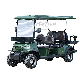 Factory Price 2+2 Seater Gas Electric Golf Cart with Lead-Acid Battery and Lithium Battery