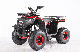 125cc Gas Powered 4 Stroke Kids Mini Four Wheeler Quad Bikes ATV