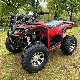  China Factory Gas Powered Gy6-250cc for Adults Auto ATV