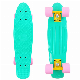 Wholesale Complete Mini Fish Penny Skate Board 22 Inch Skateboard