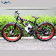 Mountain Ebike Electric Bike Fat Tire 26inch 350W Bicycle Max King Promax Chain Motor