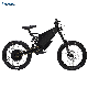  Fat Tire Ebike Made in China 8000W Max Black White LCD Cheap OEM Steel Motor Electric Bike