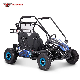 Electric Racing Go Kart Dune Buggy with 2000W 60V Motor