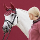 Smooth and Elasticity Horse Fly Mask with Ears with UV Protection