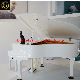 Middleford (GP-152W) White 152 Grand Piano with Free Adjustable Bench