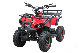 36V 500W 4 Wheels Electric ATV for Kids