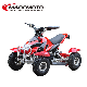 Cheap Price 500W 800W1000W Mini Kids Quad ATV Electric