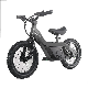 Electric Kids Balance Bike 100W Boy and Girl