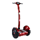 2020 Coolwheel A6 Self Balancing Electric Chariot Scooter with Handle Charger manufacturer