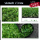  Landscaping Synthetic Turf Artificial Grass 8mm-15mm Fake Turf