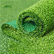  Garden Landscaping Grass Outdoor Plastic Carpet Synthetic Turf Artificial Grass for Landscaping