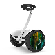  Self Balance Electric Easy Learning Handle Two Wheel Scooter Electric Hoverboard