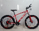  26 Inch Steel Mountain Bicycle with 21 Speed Gear MTB Bicycle From China
