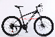  Most Popular Speed up MTB Adult Bike