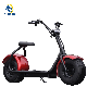 Citycoco 1000W 1500W Electric Scooter Two Wheel with 2 Seat Balance Scooters