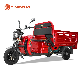 Dls150 PRO China Supplying Electric Tricycle New Energy Resources Three Wheel Vehicle Electric Loader High Quality for Cargo Basic Customization