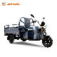 Jinpeng Cheap Price Excellent Performance Electric Cargo Trike Customizable Color Rain Proof Optional Accessories Tricycle for Farm Loader Transport Wholesale