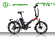 Electric City Folding Bicycle with 36V 250W Motor Warehouse in Europe