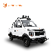  New Design Electric Pickup Truck Chinese Mini Truck Electric Cargo Car