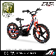 China Apollo Rxf Kids Electric Bike Electric Balance Bike Electric Self-Balancing Unicycles