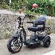  Differential Motor Power Big Seat Mobility Electric Trike Scooter