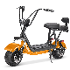 CE Approved 2 Wheel Adult Electric Scooter Mini Mobility Scooter 800W 20ah Battery E Scooter Citycoco
