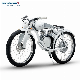 Munro 2.0 Vintage Beach Cruiser E-Bike Fat Tire Electric Chopper Bike Electric Bicycle