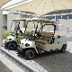  Battery 2 Seat Electric Sightseeing Bus Golf Cargo Car Cart (Lt-A2. H8)