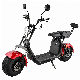 EEC/Coc Electric Mobility Bike Scooter Folding Motor Electric Scooter