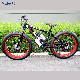  Mountain Ebike Electric Bike Fat Tire 26inch 350W Bicycle Max King Promax Chain Motor