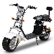  2022 Best Seller EEC Coc Electric Bicycle 60V 1500W3000W 2000W Electric Scooter