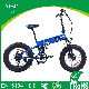 20" 48V 500W /1000W Full Suspension Mini Foldable Kids Snow Commuter Electric Fat Bike/Bicycle/E-Bicycle