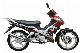  Hot Sale City Rider EEC 50cc Cub Motorcycle Motorbike Motocicleta