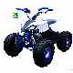  Sro 4-Stroke New Big ATV Factory Popular Wholesale Quad ATV for Sale