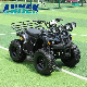 Manufacturer Direct Sales 4X4 250cc 125cc Quad 500cc ATV/UTV Parts 400cc off Road 800cc Trailer 200cc Rear Axle Tires Bike Farm Kids ATV