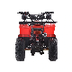 250cc 2 Stroke 800W 80cc Clothing Farmer Gas Powered Gun Rack Hub Motor Mini Petrol Quad for Sale Storage Tire 20X10 10 ATV