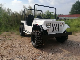 Gasoline 200cc ATV Quad Bike