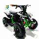 Sro Factory Popular Electric 350W 500W 800W Mini 4 Wheeler Eelectric Bike Mini Quad for Child