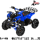 125cc ATV off Road Quad Bike with CE