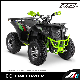 Apollo Rfz EEC Commander 200cc ATV, CVT Engine with Balance Shaft, 10 Inch Wheel, LCD Speedmeter Ktm ATV Electric ATV for Kids EEC ATV