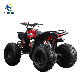  125cc Quad New Popular Electric Start 12V4ah Chain Drive ATV Fun Rides Adult