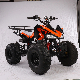 Chinese Professional Petrol Powered 125cc Quad Bike ATV