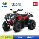  180cc ATV Quad Bike with EPA UTV