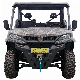  Durable off Road All-Terrian UTV Electric Utility Vehicle
